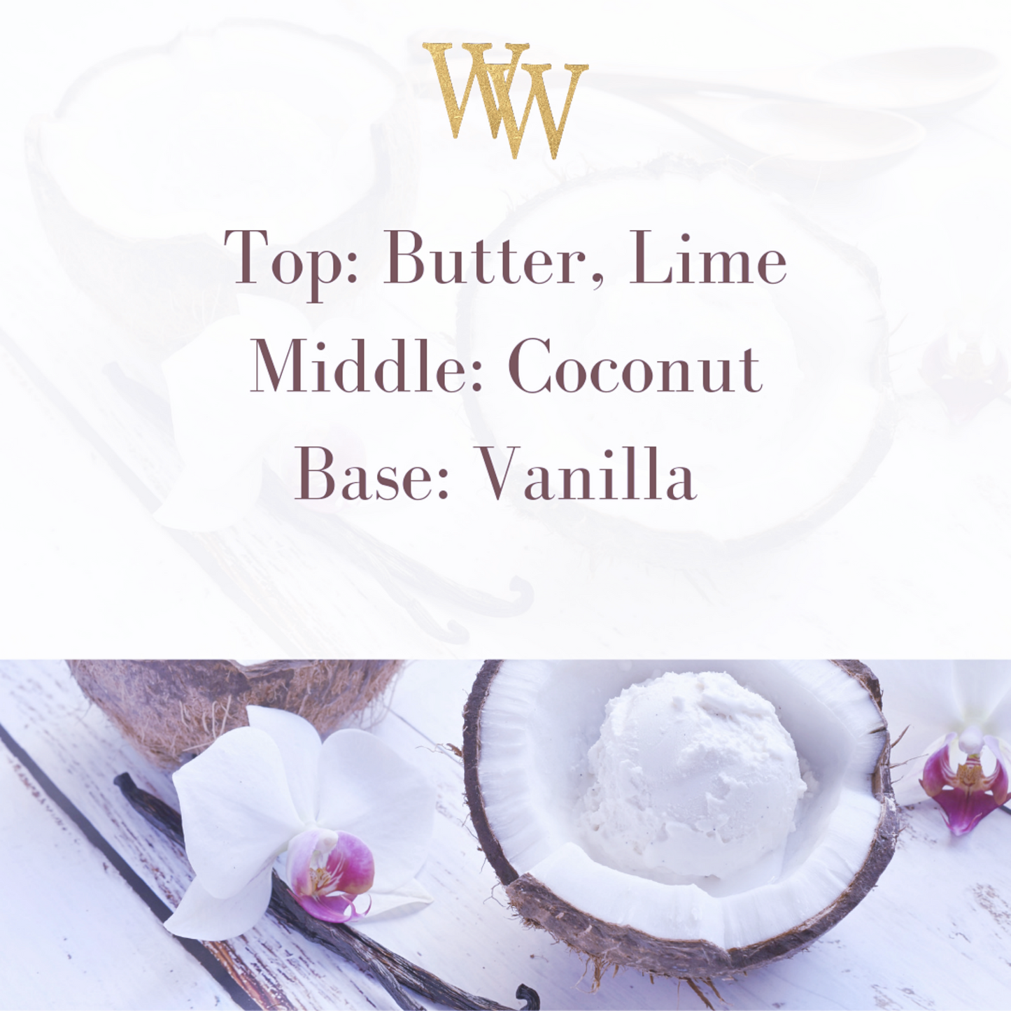 Coconut Vanilla Reed Diffuser | Essenza Clear Glass | Scented Room Fragrance | Aromatherapy Home Decor | Diffuser Oil | 6.8 ml