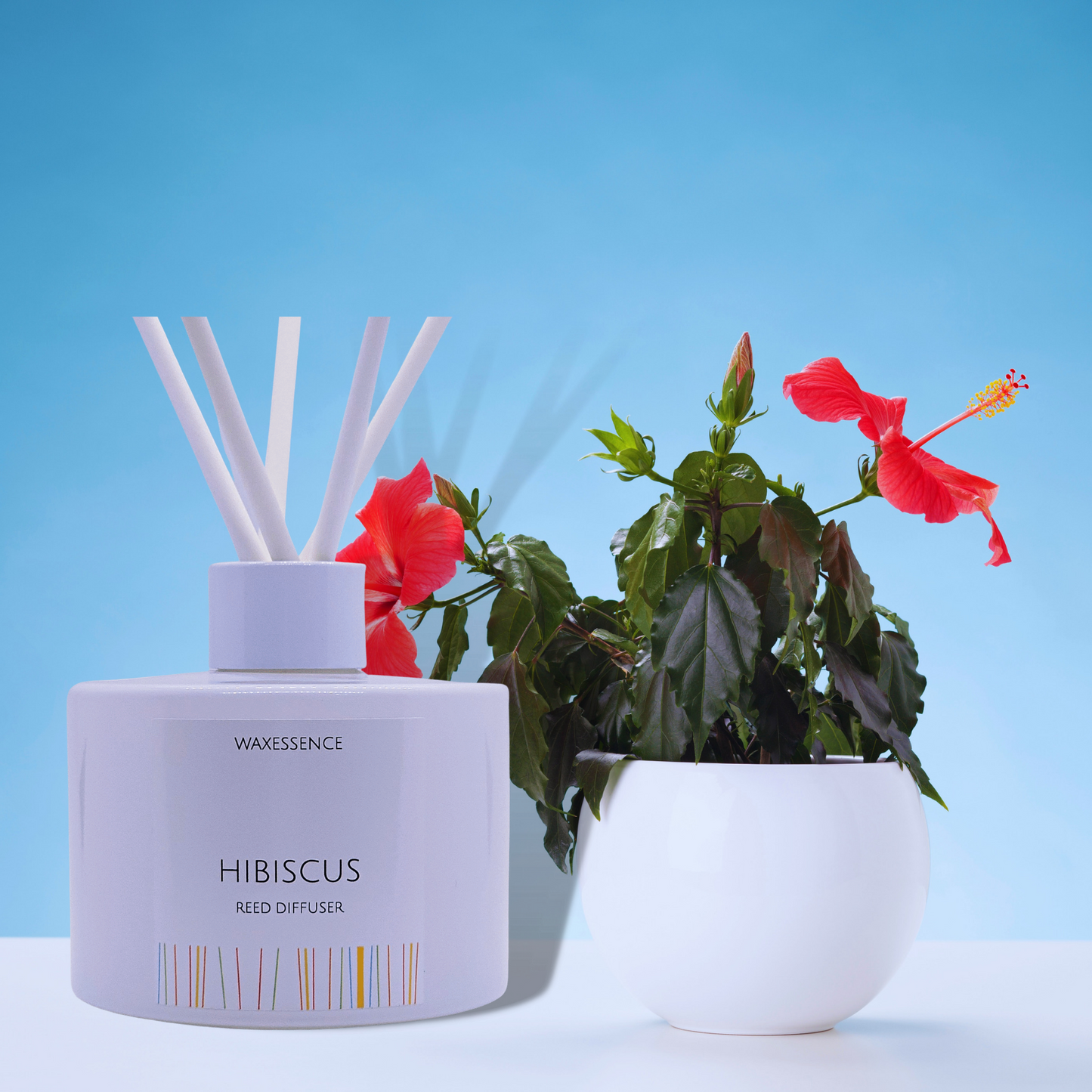 Hibiscus Reed Diffuser | Essenza Gloss White  | Aromatherapy Home Decor | Diffuser Oil | 6.8 fl. oz
