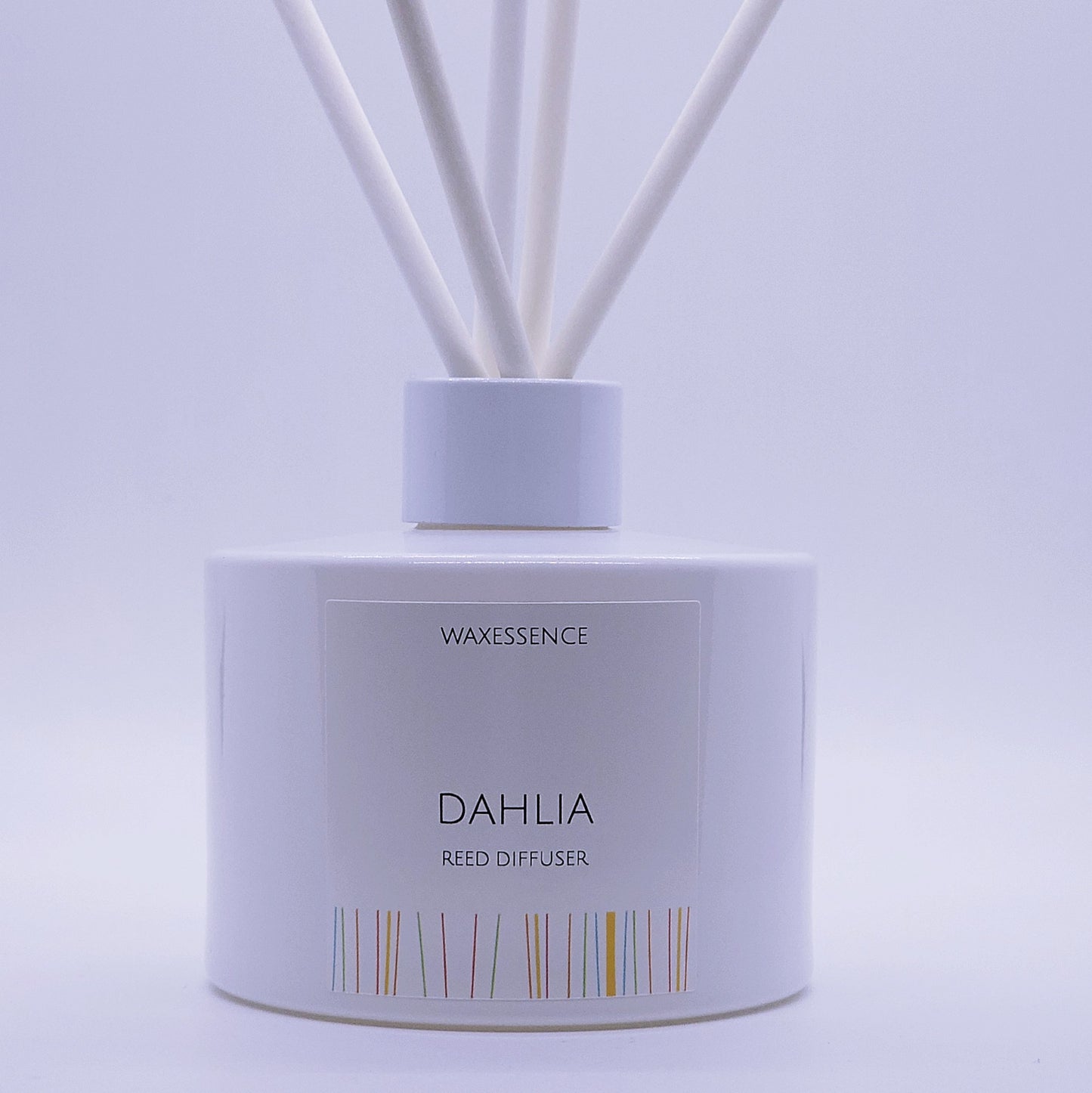 Dahlia Reed Diffuser | Essenza Gloss White | Aromatherapy Home Decor | 6.8 fl. oz