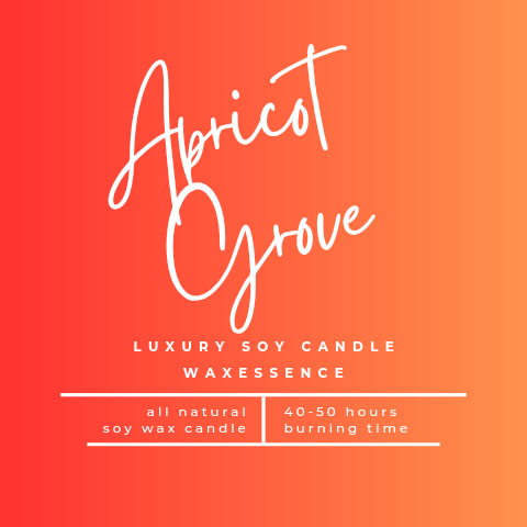 Apricot Grove | Soy Wax Luxury Candle | Sienna Modern Ceramic Tumbler 7.1 fl oz