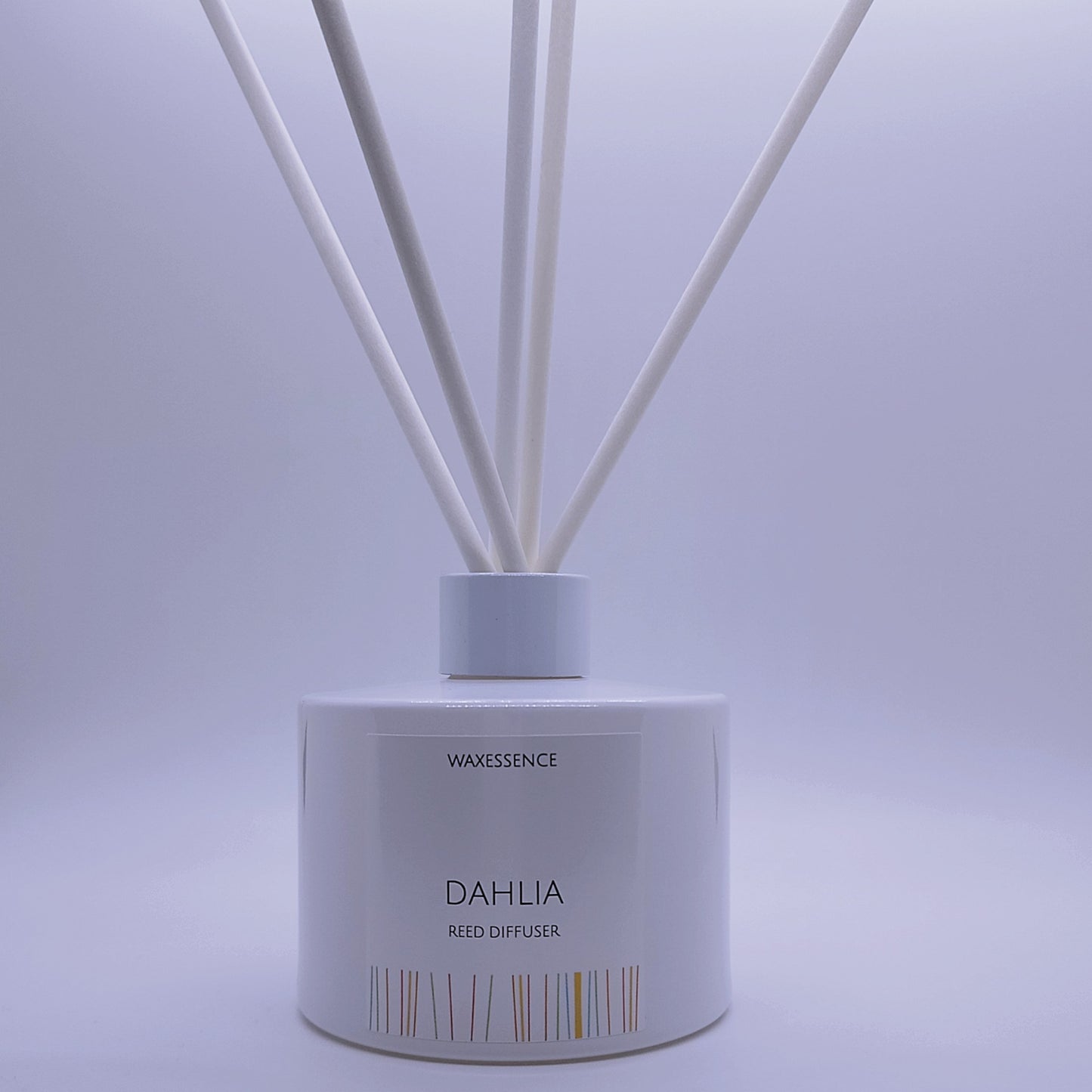 Dahlia Reed Diffuser | Essenza Gloss White | Aromatherapy Home Decor | 6.8 fl. oz