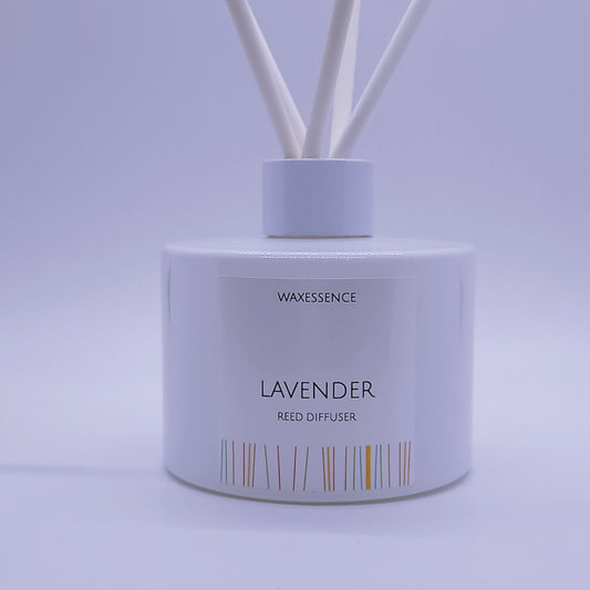 Lavender Reed Diffuser | Essenza Gloss White  | Aromatherapy Home Decor | Diffuser Oil | 6.8 fl. oz
